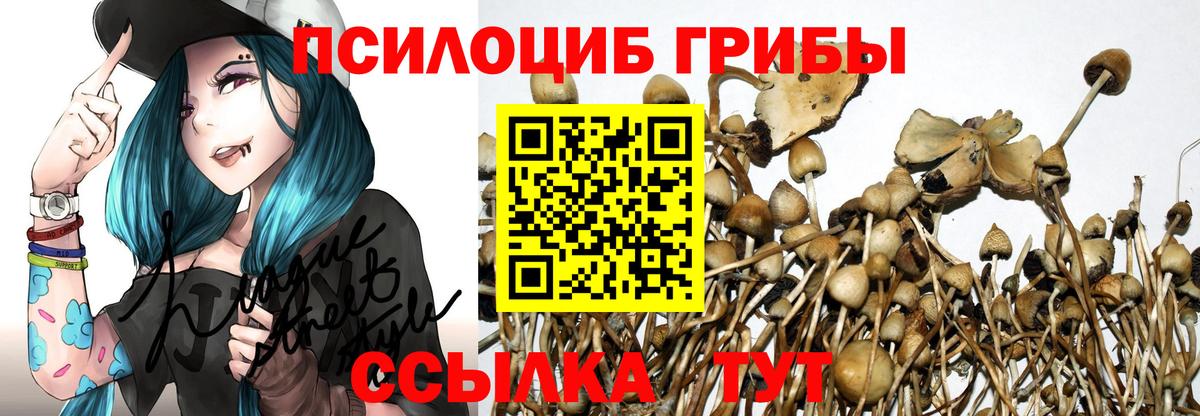 Галлюциногенные грибы Cubensis  Вход с VPN  где купить наркоту  Зима 