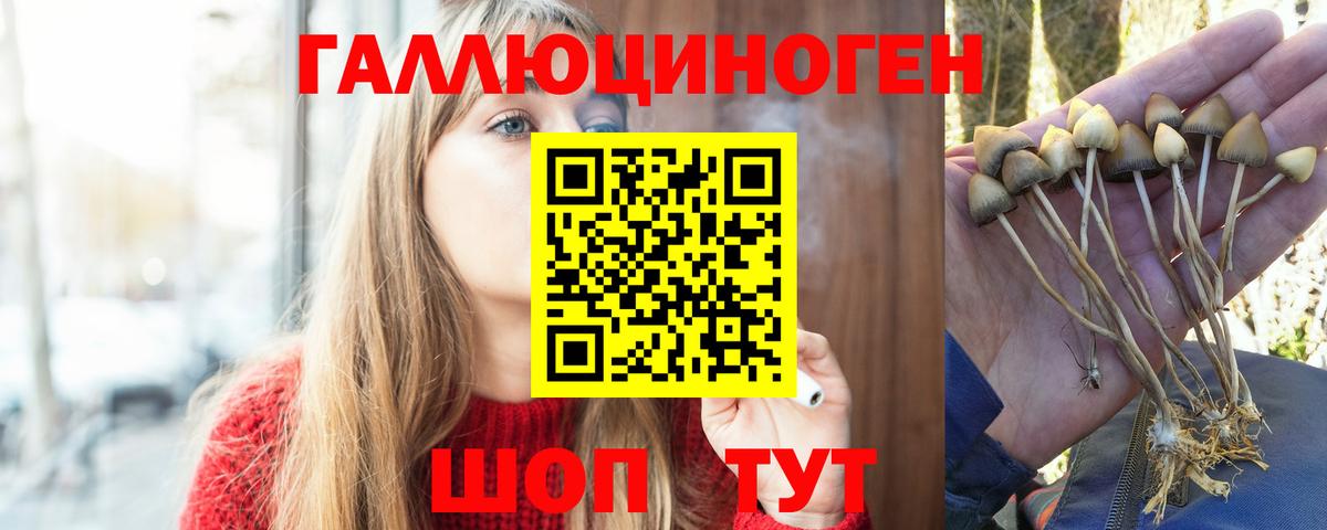 Галлюциногенные грибы MAGIC MUSHROOMS Зима