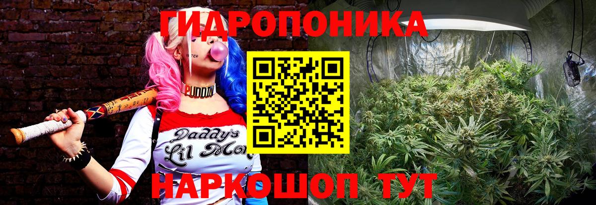 Марихуана планчик Зима